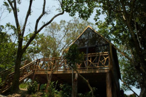 RíoBosque Cabañas de lujo frente al rio desayuno incluido san carlos antioquia